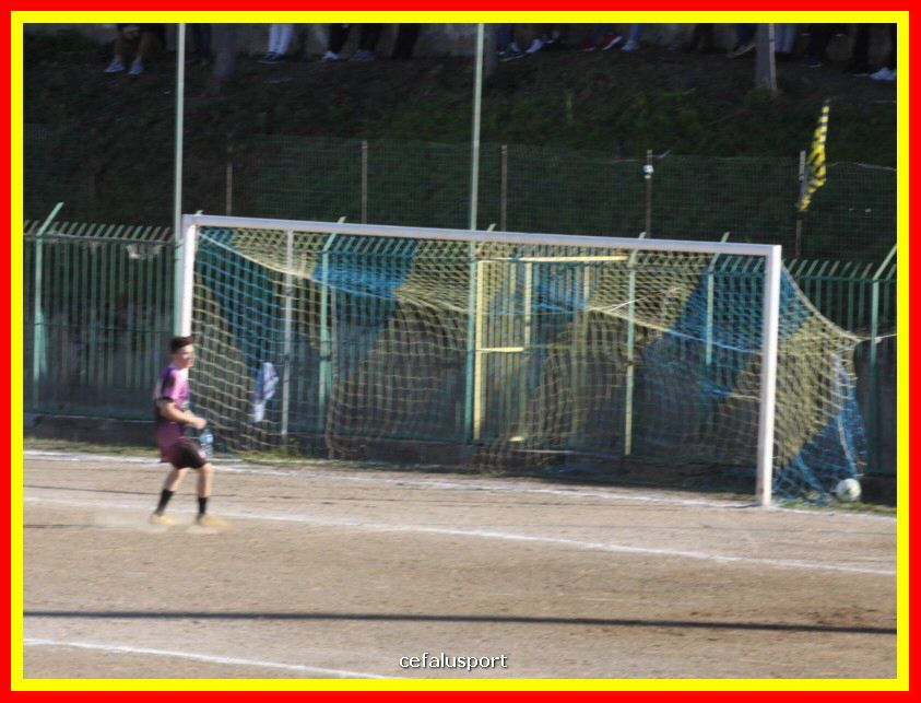 190310 Cephal_Torrenov 131_tn.jpg